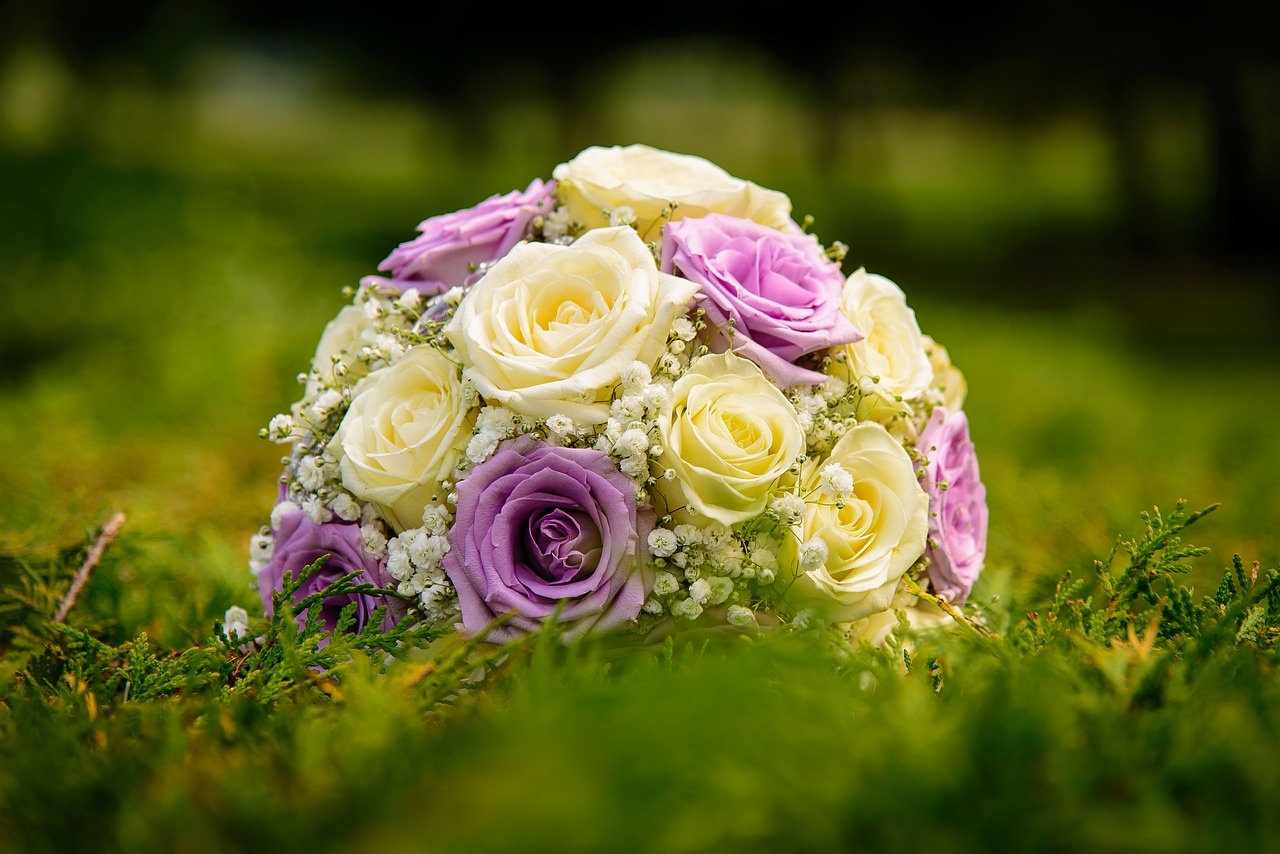 Seizoensbloemen collectie
